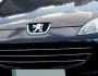 Накладки на переднюю решетку радиатора Peugeot 407 из 3 шт фото 2