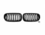 BMW X5 F15 grille - type: M-Look gloss black photo 2