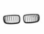 Radiator grille BMW X6 E71 - type: v2 gloss black фото 1
