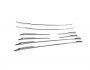 Pads on the grille Ford Courier 2024-... photo 1