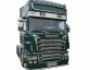 Накладки на бічні частинки решітки Scania 2004-2010 фото 4