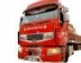 Накладки вставки в решітки Renault Premium фото 15