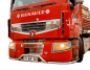Накладки вставки в решітки Renault Premium фото 14