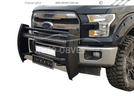 Power protection front Ford F150 фото 0