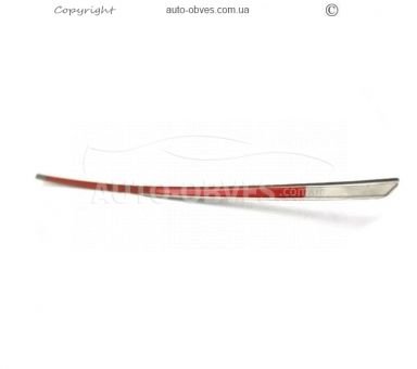 Trim over license plate BMW X1 E84 2009-2014 photo 1
