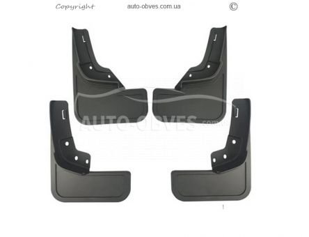 Бризковики Ford F150 2021-… - тип: для lightning 4 шт фото 0