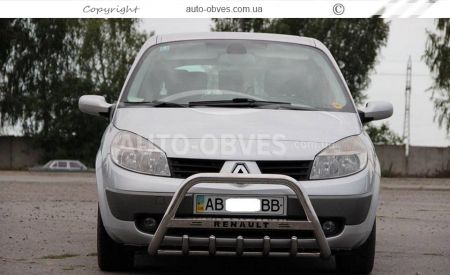 Кенгурятник Renault Scenic II 2003-2009 - тип: штатный фото 1