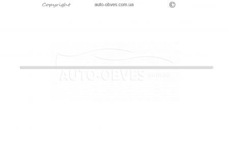 Cover on the bottom of the Renault Magnum hood - type: 1 pc photo 0