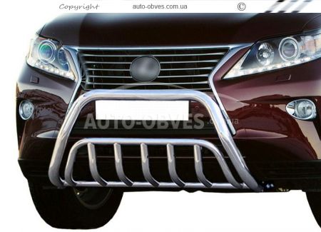 Bullbar Lexus RX - type: double фото 0